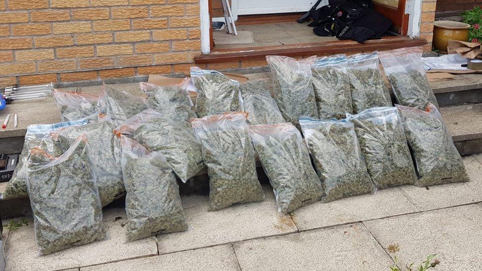 Cannabis seized