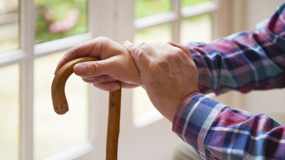 Man's hands with walking stick