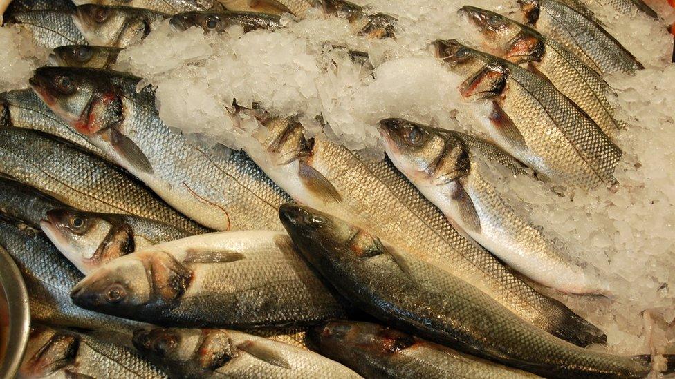 Fish at a fish market