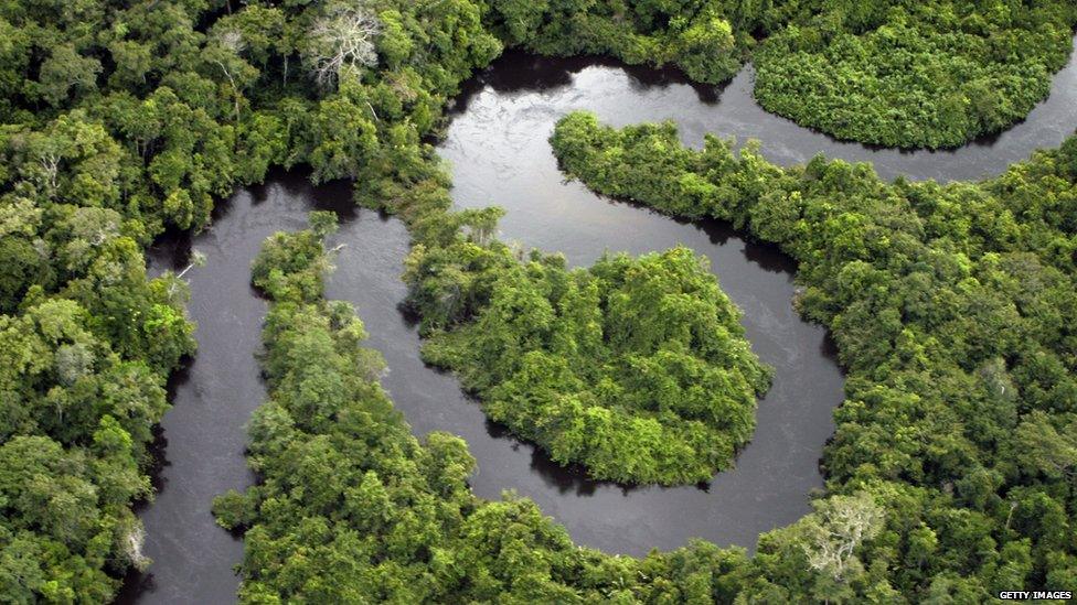 A river flowing through the Amazon rainforest