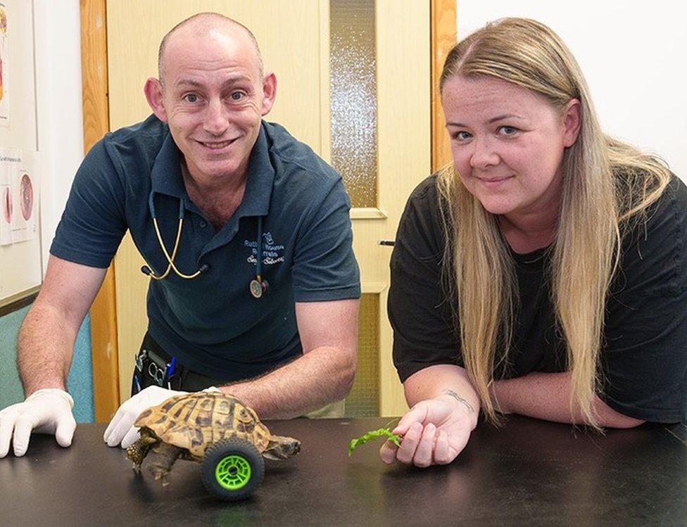 Dr Sergio Silvetti and owner Emma McNicholas with Eddie the tortoise