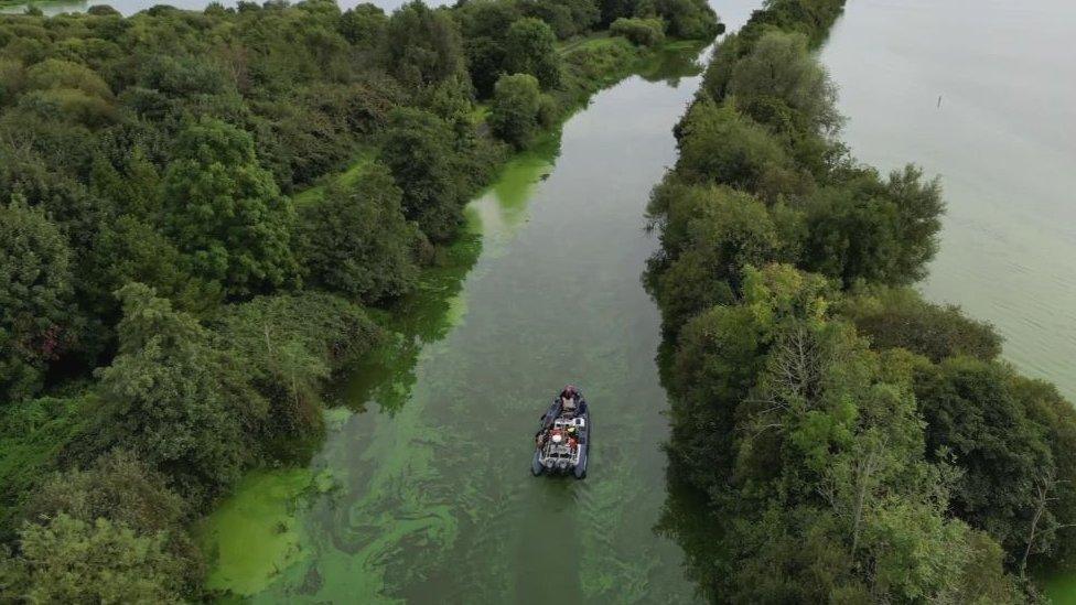 Aerial shot boat at Lough Neagh with blue-green algal blooms