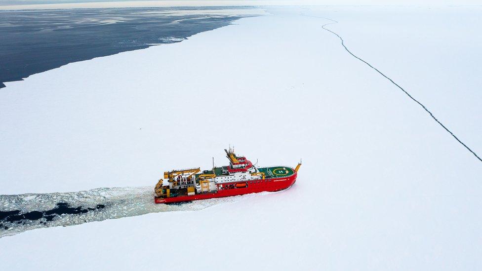 RRS-Sir-David-Attenborough.