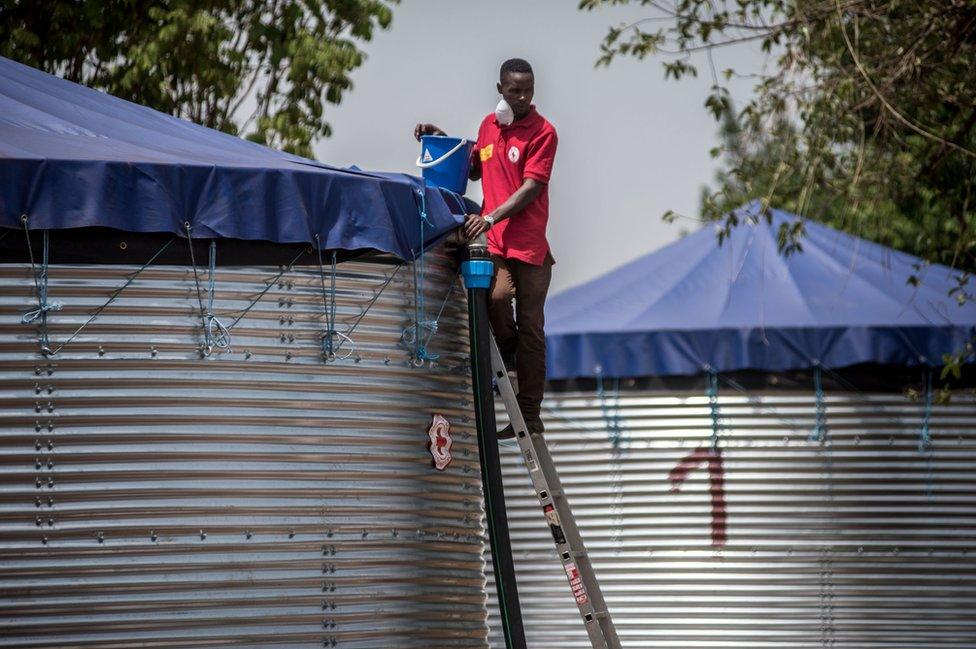 A member of staff stands on a ladder at the plant