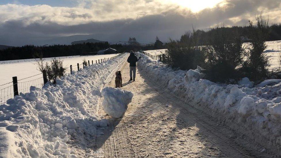 Snow in Cairngorms