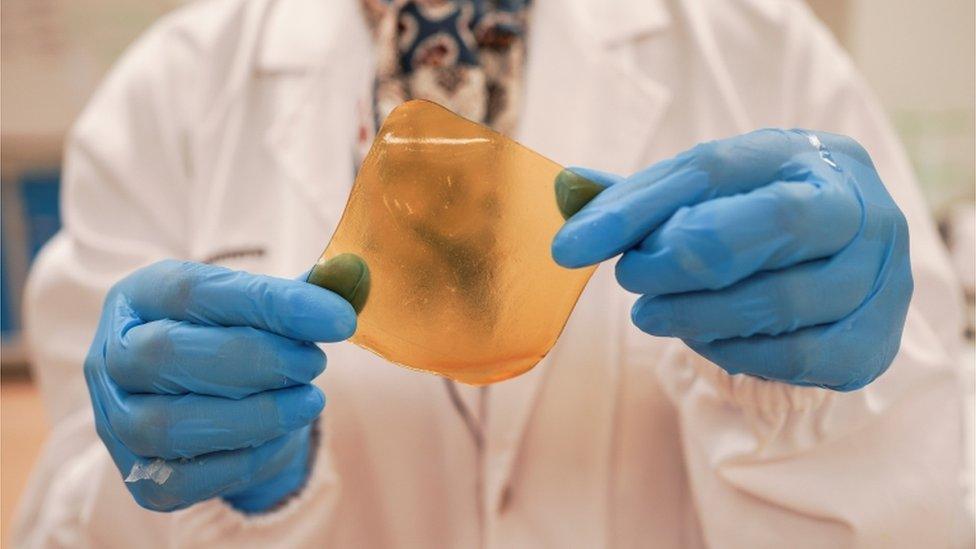 hydrogel made of durian husk