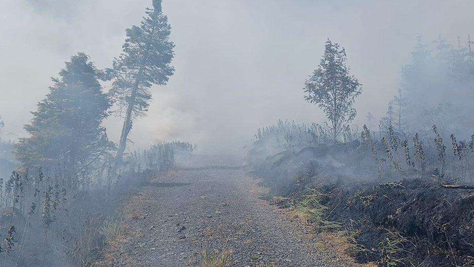 Glenariff fire