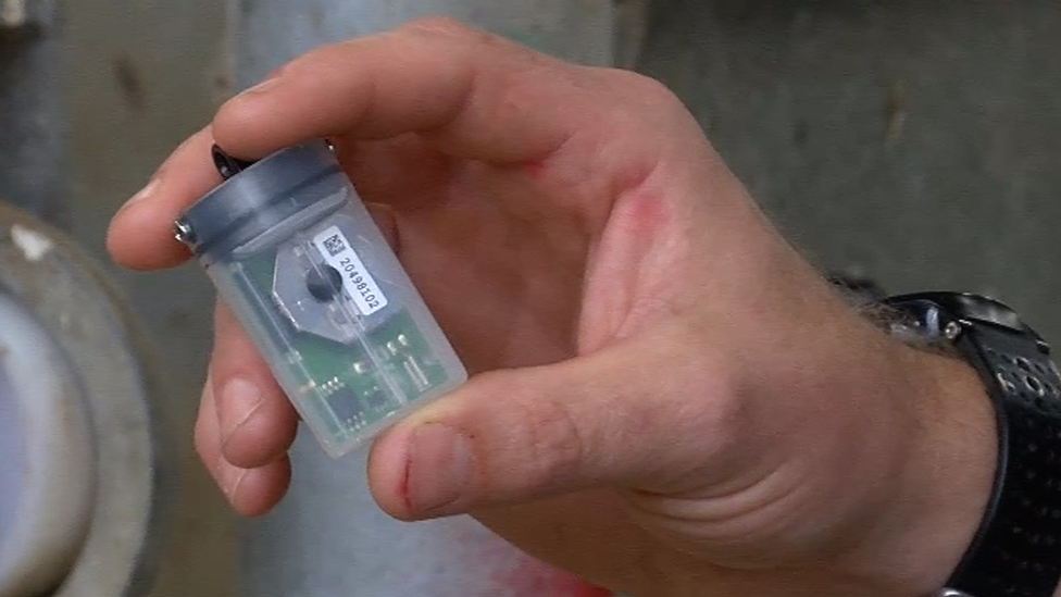 Tracker being used on sheep