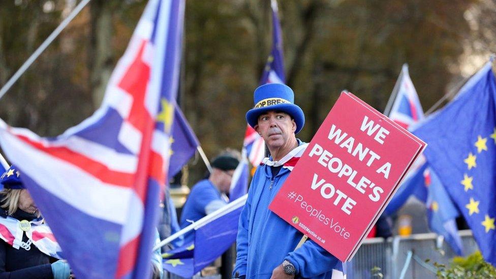 Protesters calling for a people's vote