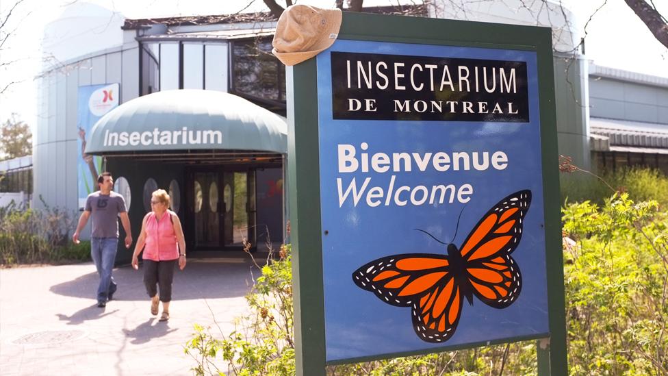 Insectarium of Montreal