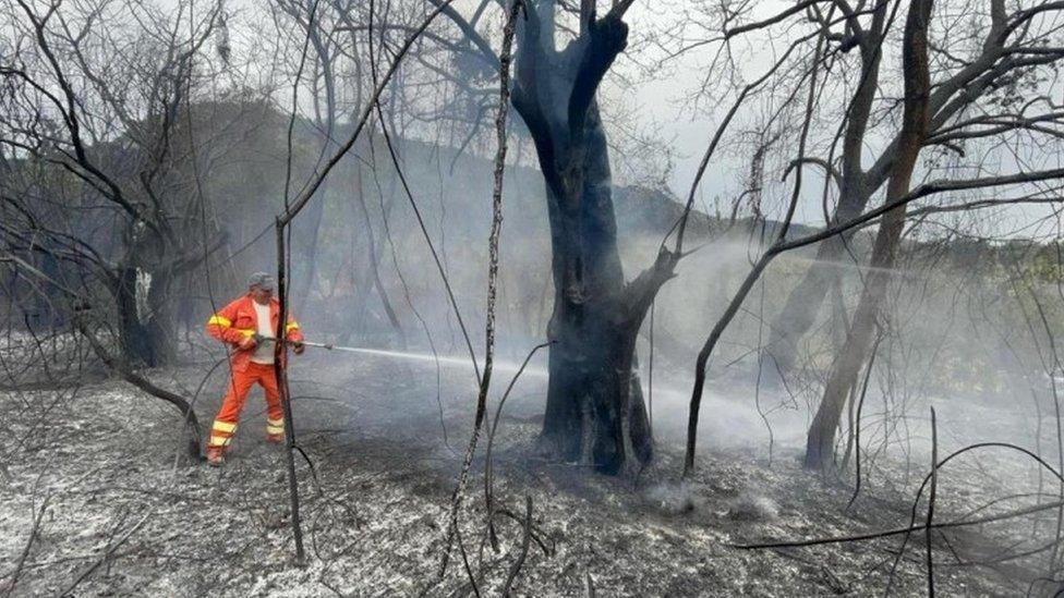 Firefighters during extinguishing works on a fire burning in the Scano di Montiferro comune