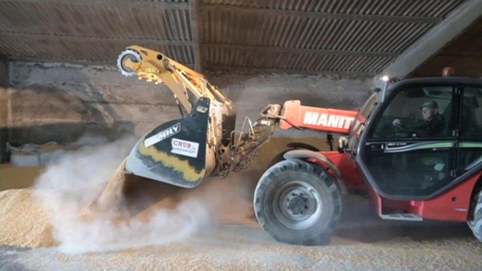 A tractor pushing grain in Oxfordshire