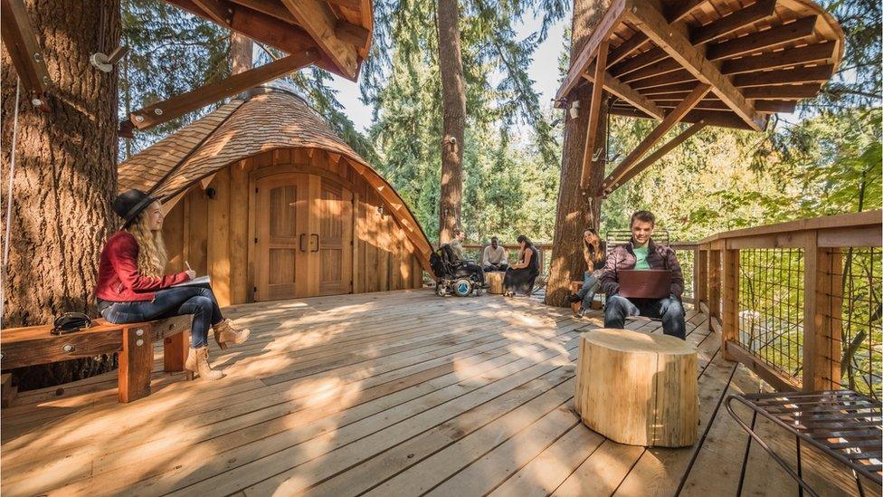 Microsoft treehouse