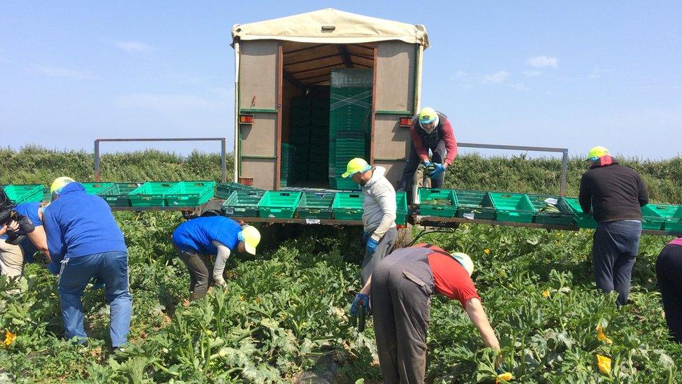 farm workers