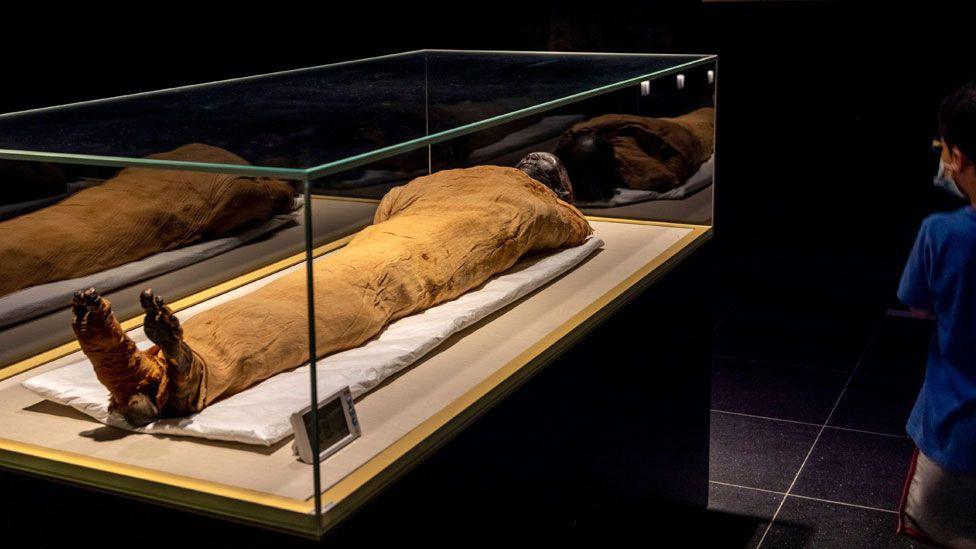 Children looking at a glass case showing the mummy of King Thutmose II (died 1479 BCE) in the National Museum of Egyptian Civilization