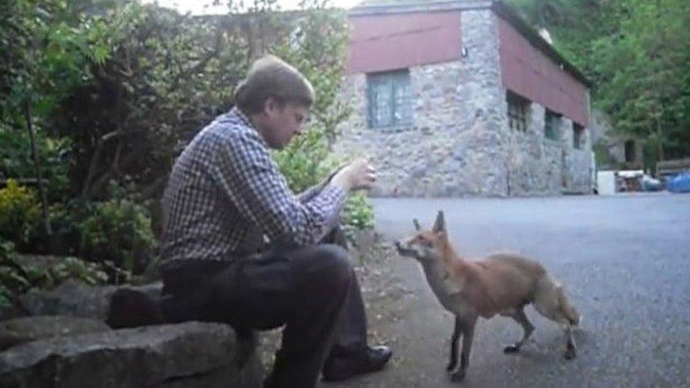 David Lewis with Sam the Quarry Fox