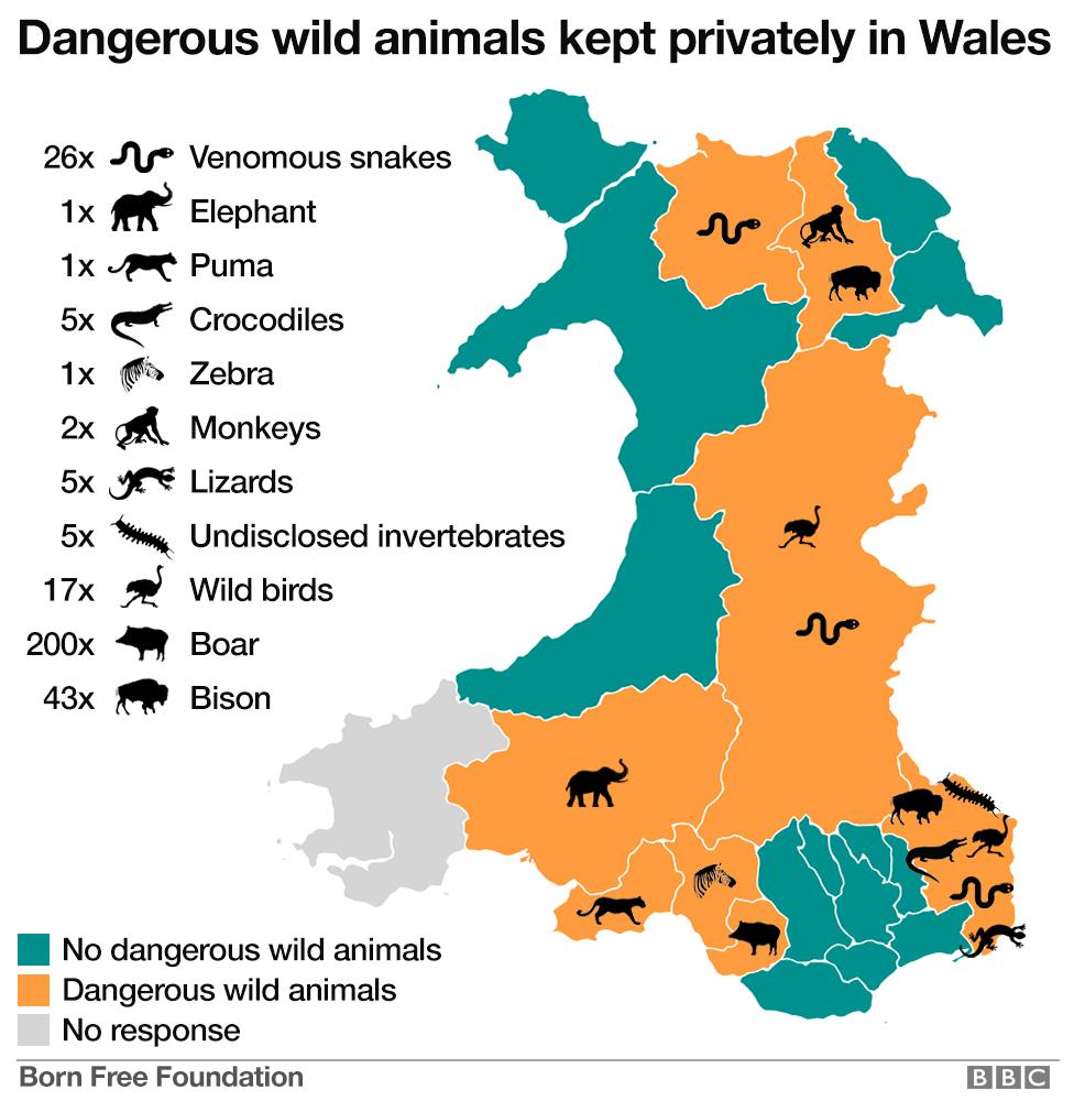 A graphic showing how many wild animals are kept in Wales