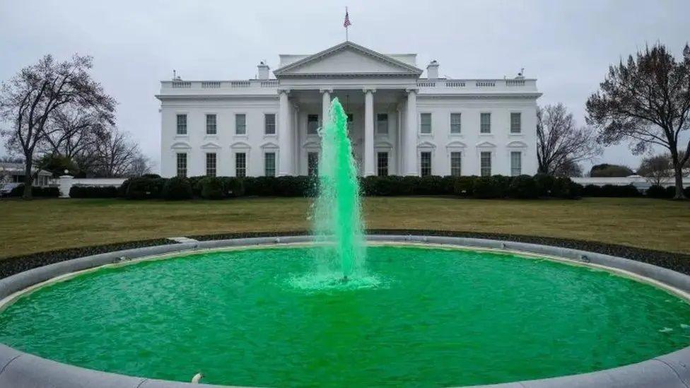 The fountain in front of the White House is turned green with dye. The White House a large columned building is in the background