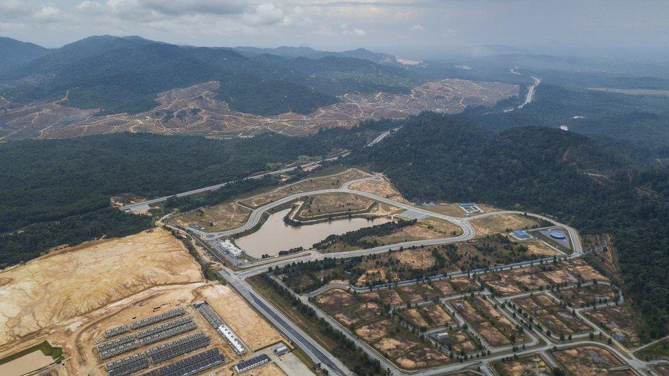 Drone shot of Kelantan forest