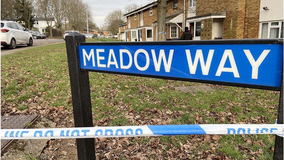 Meadow Way