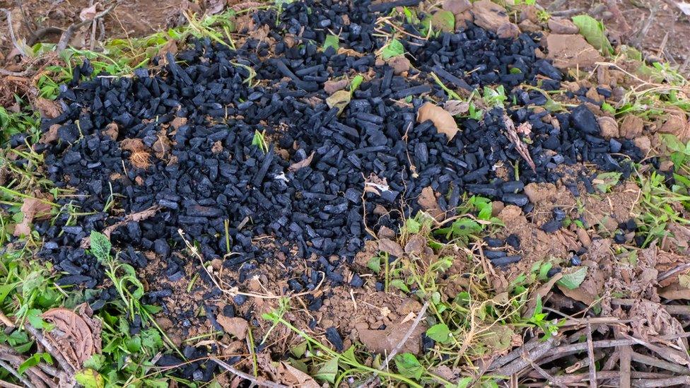 biochar-mound