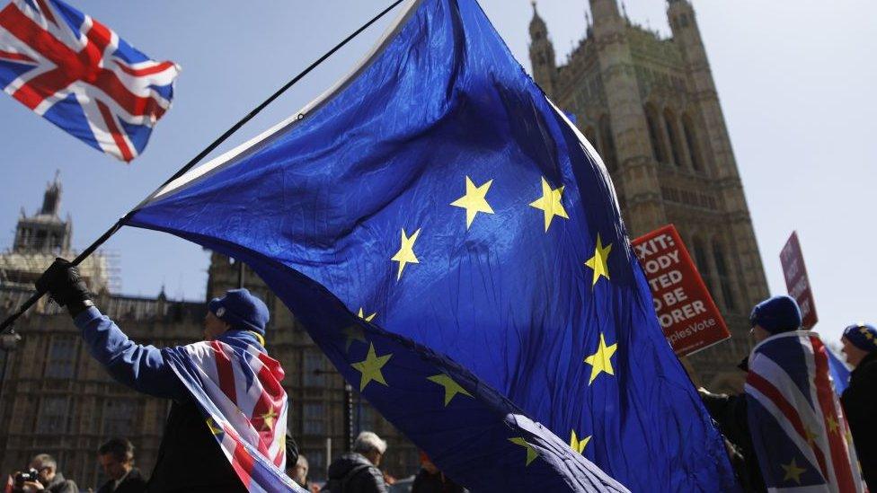 Flags in Westminster