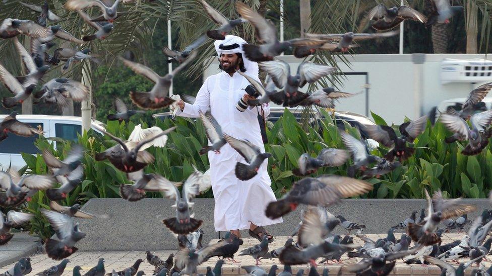 A man looks at pigeons at a market in Doha, Qatar