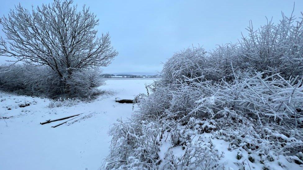 Snow in Papworth