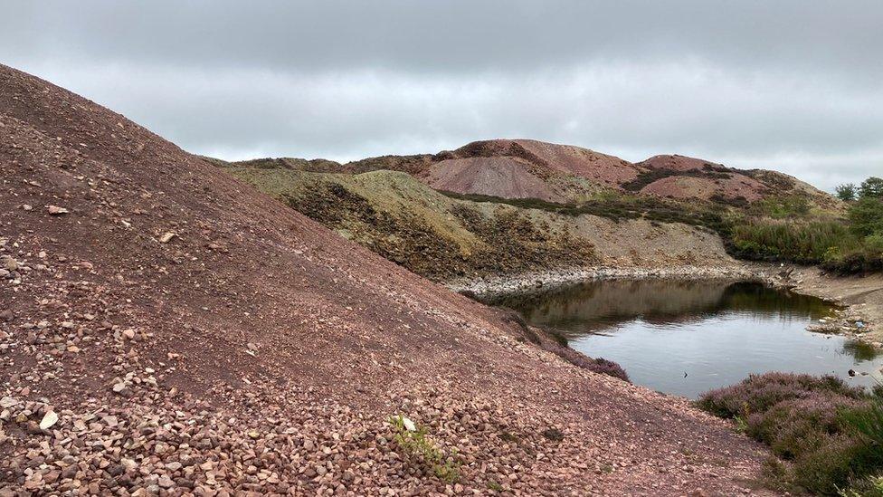 Mynydd Parys, Sir Fon