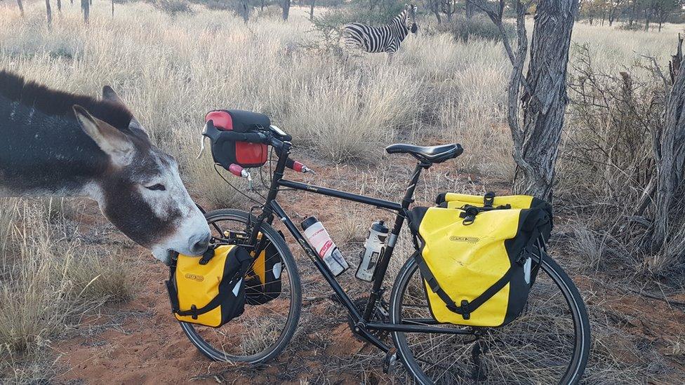 Donkey by bike