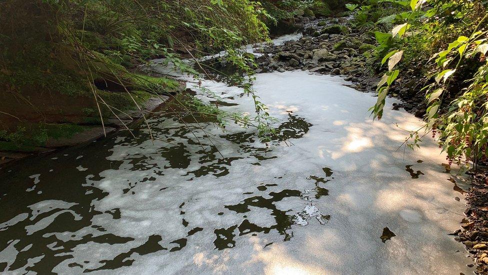 A photo taken at the Three Mile River on Friday 27 August, showing the water in the river with a soapy substance near to the surface, which appears to have contaminated the water