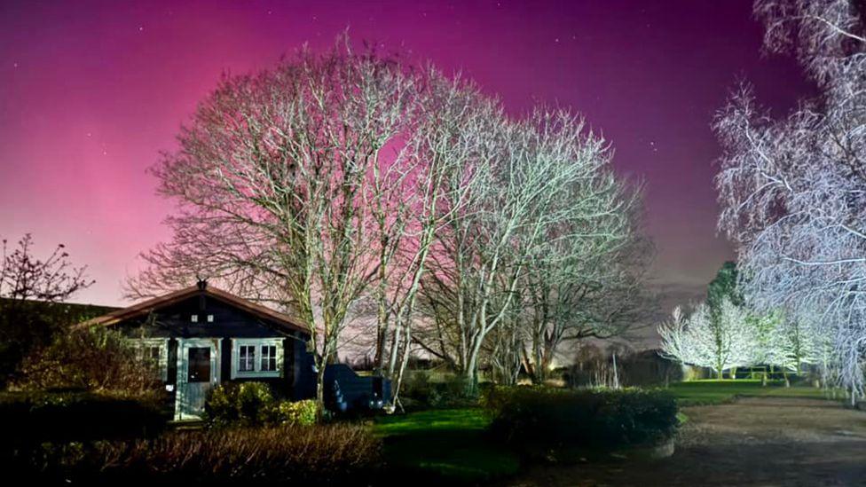 The lights seen through winter trees with a house in the foreground in Thorngumbald