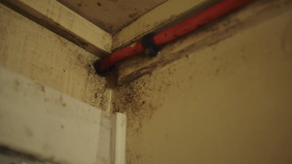 Mould in Muirhouse flats