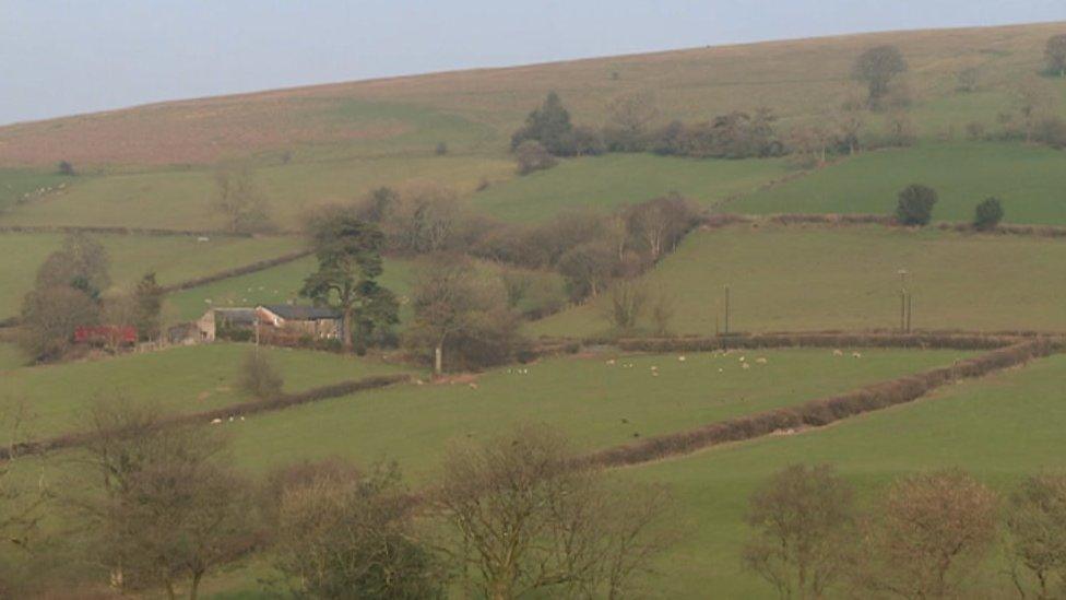 Mynydd