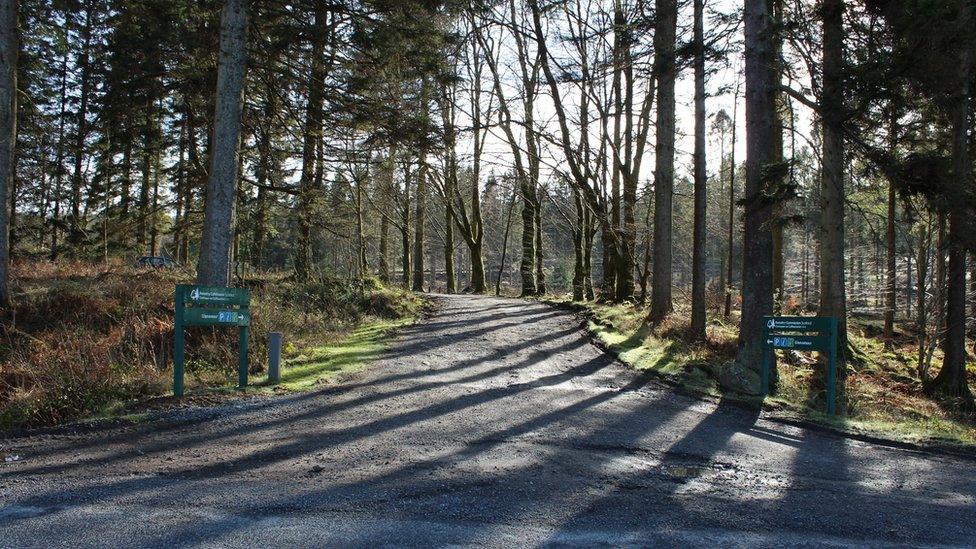 Galloway Forest Park