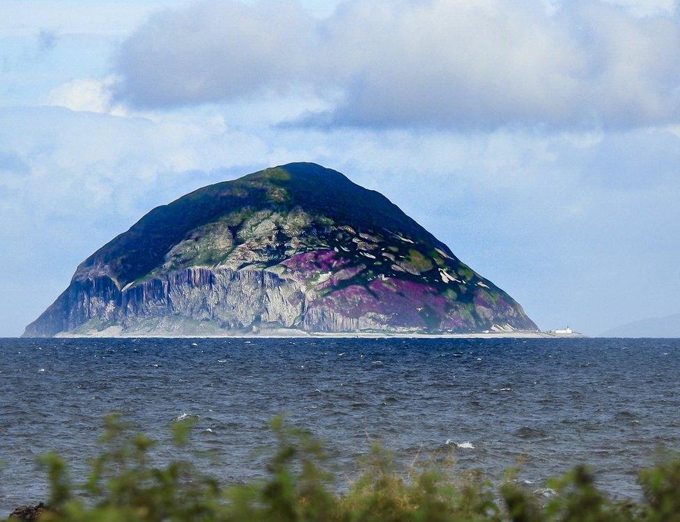 Ailsa Craig heather