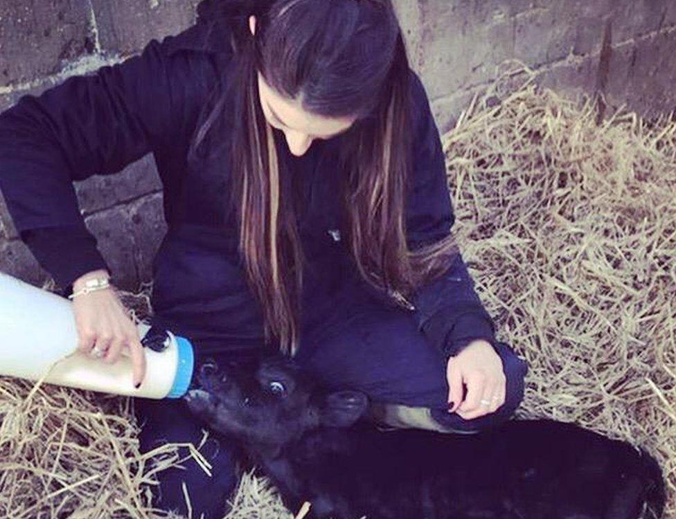 Abi feeding a calf