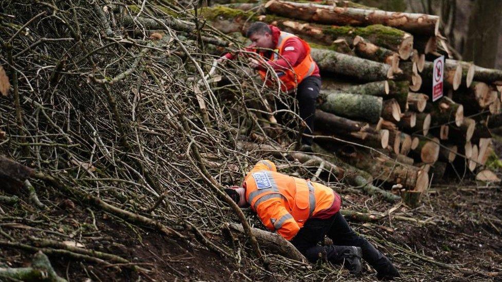 Search teams looking under stacks of logs