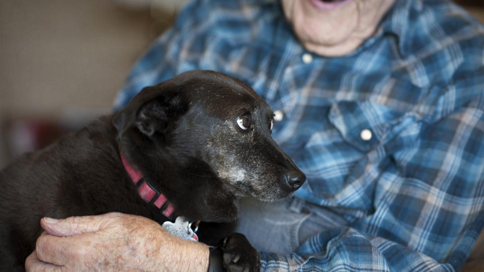 layla in milt's arms