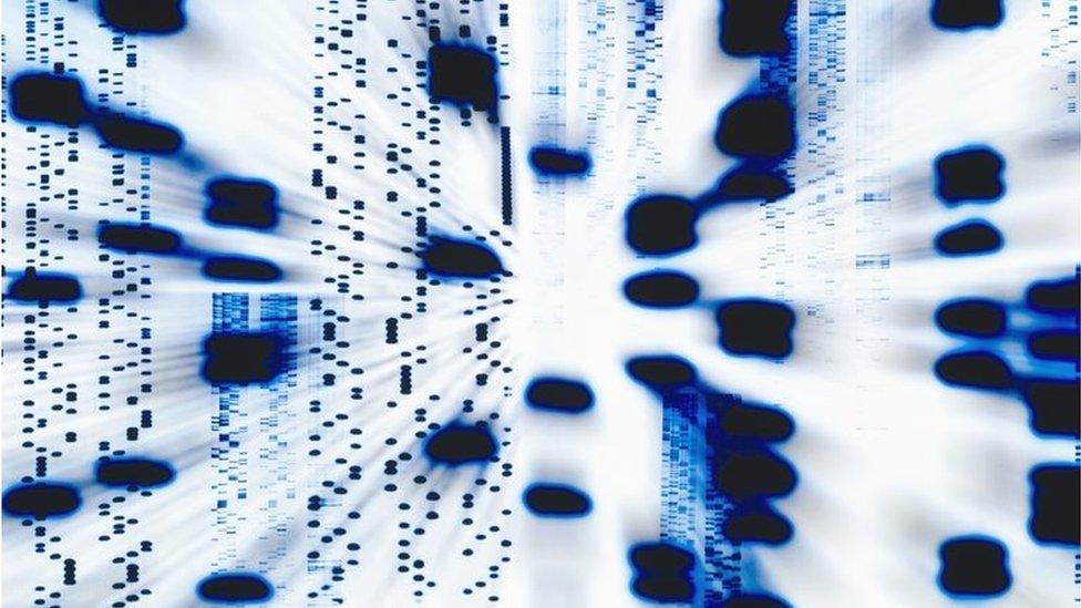 The precise sequence of the bases that forms DNA