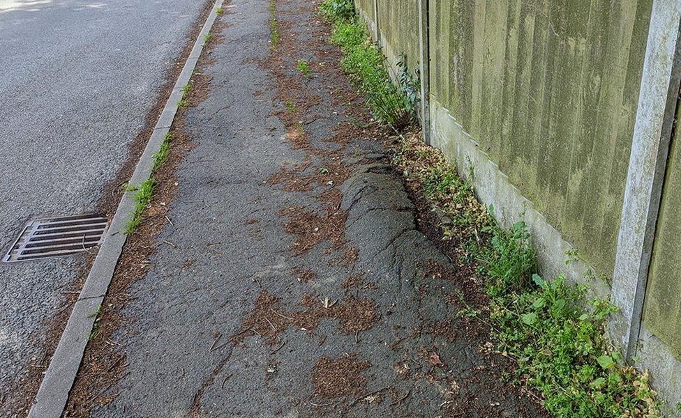 The damaged pavements near Janice Parker's home