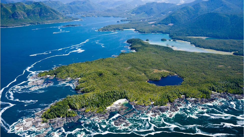 Nootka Island