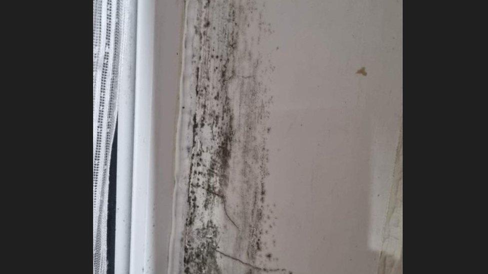 Mould near window