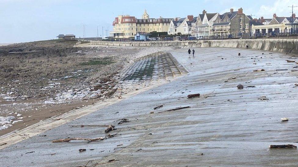 Driftwood at Porthcawl after the storm