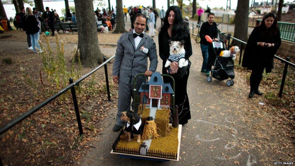 A family and their dogs dressed as the Addam's family