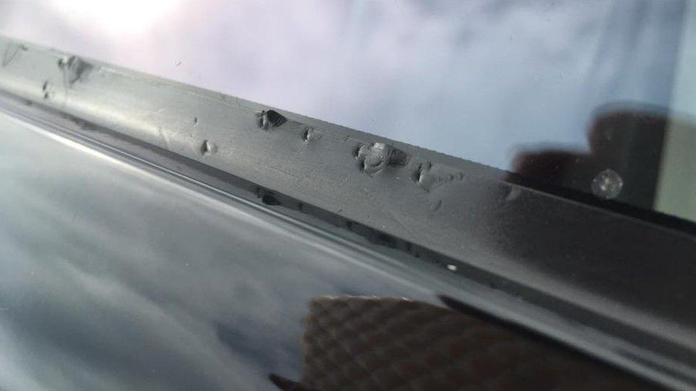 Damage to rubber on car window by crows in Sherborne