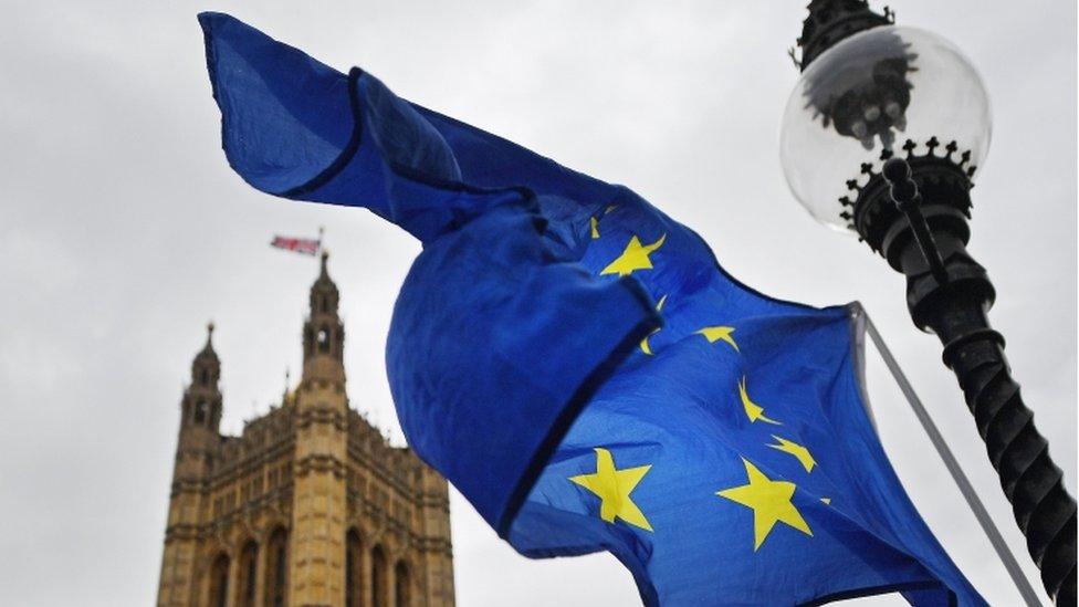 Houses of Parliament and EU flag