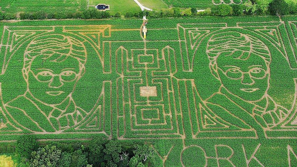 Tom-Pearsys-Maize-Maze.