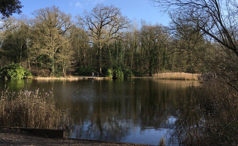 Beechwater Pond, Chantry Park, Ipswich