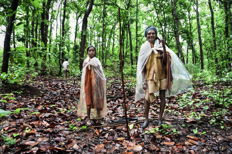 A member of the Baiga tribe crosses the forest with his two grandchildren.